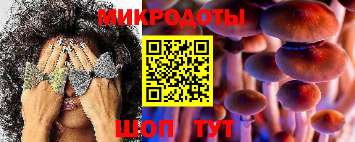 Галлюциногенные грибы Psilocybe Печора