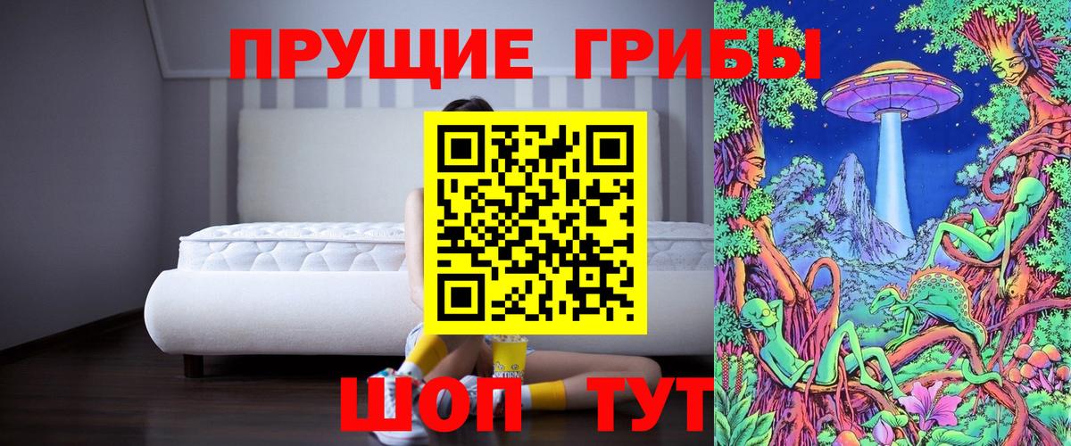 Псилоцибиновые грибы Psilocybe  Галлюциногенные грибы ЛСД  Печора  Вход с VPN 